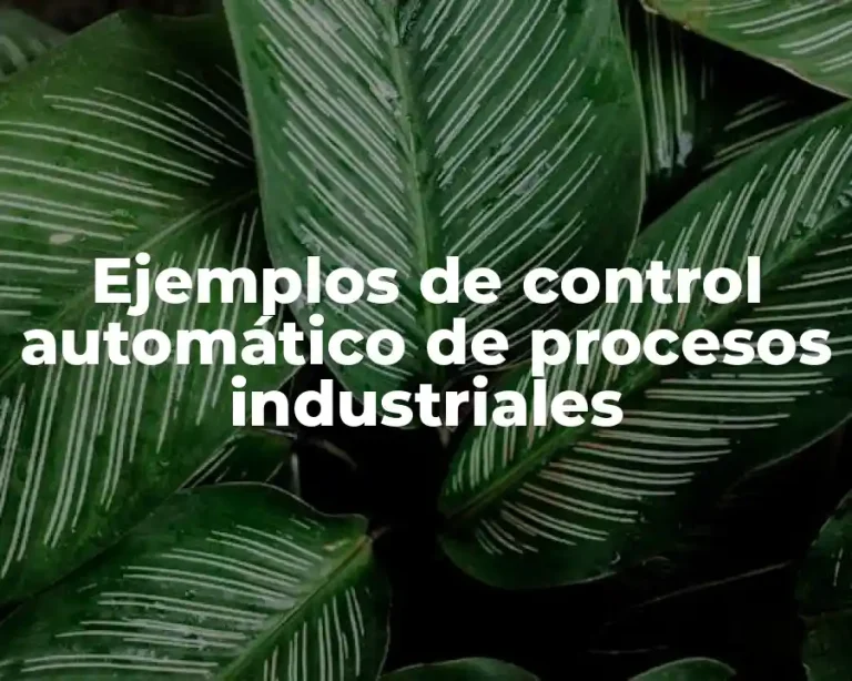 Ejemplos de control automático de procesos industriales