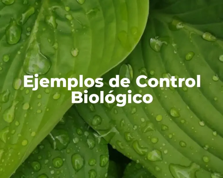 Ejemplos de Control Biológico