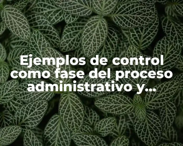 Ejemplos de control como fase del proceso administrativo y Significado