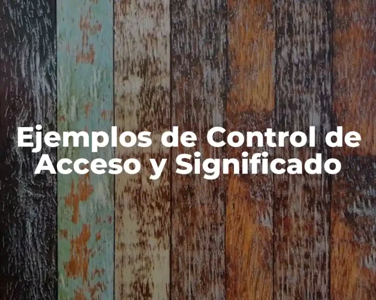 Ejemplos de Control de Acceso y Significado