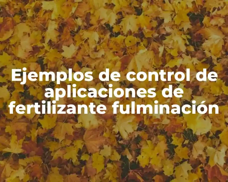 Ejemplos de control de aplicaciones de fertilizante fulminación