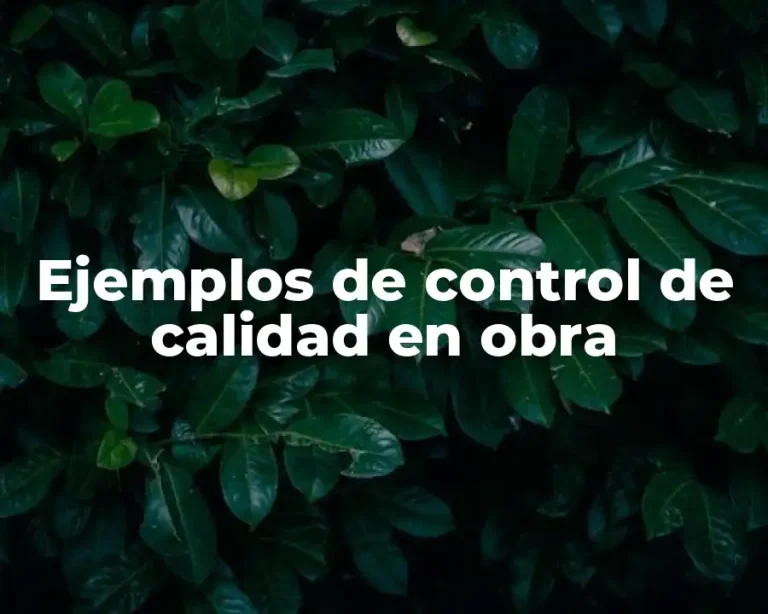 Ejemplos de control de calidad en obra