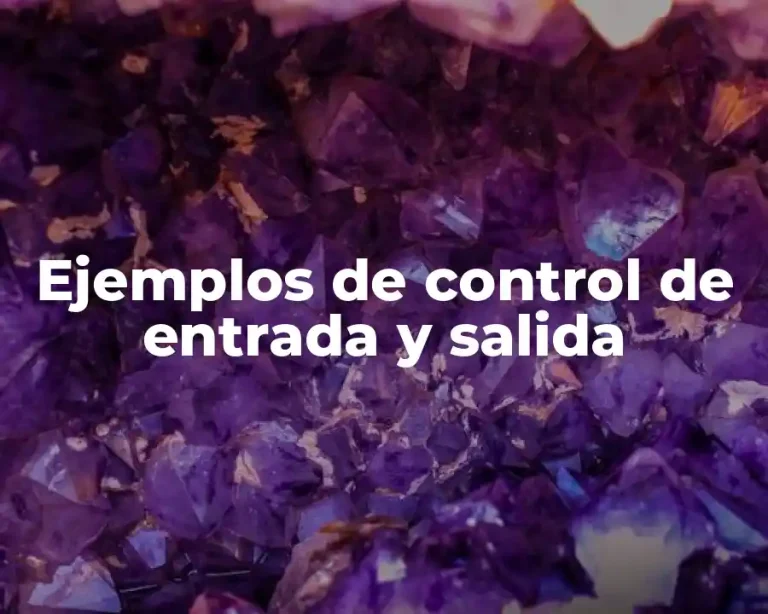 Ejemplos de control de entrada y salida