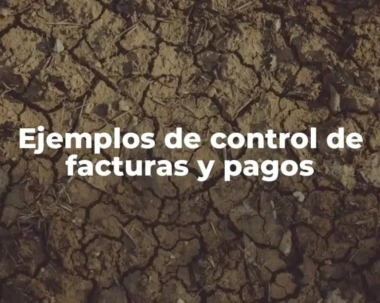 Ejemplos de control de facturas y pagos