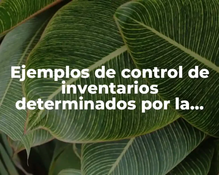 Ejemplos de control de inventarios determinados por la oferta