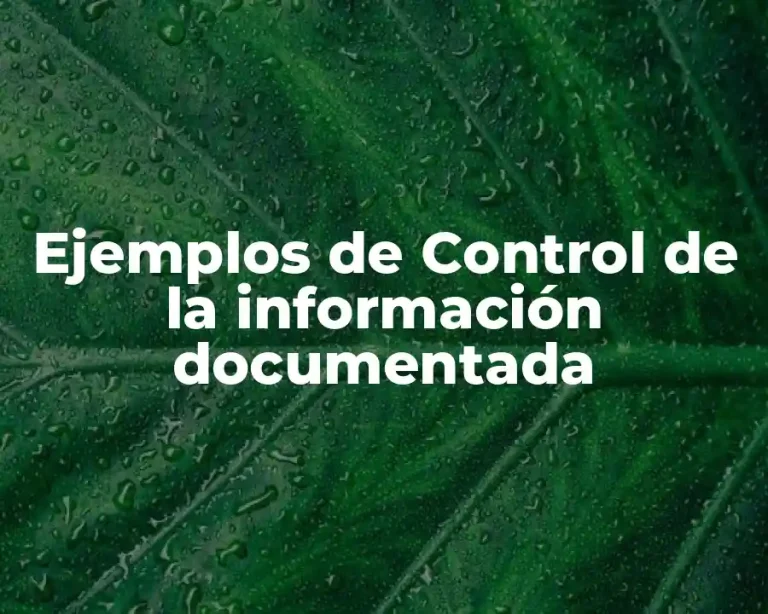 Ejemplos de Control de la información documentada