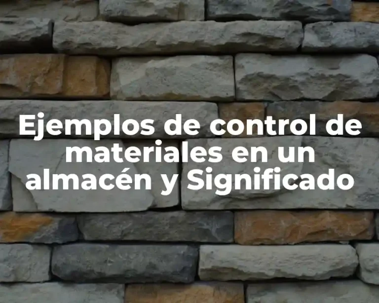 Ejemplos de control de materiales en un almacén y Significado