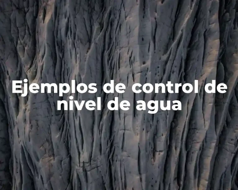 Ejemplos de control de nivel de agua