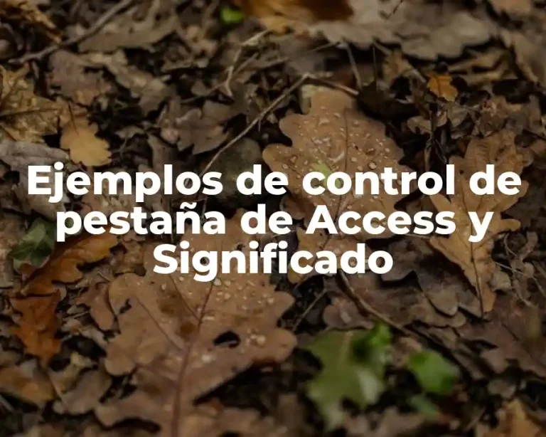 Ejemplos de control de pestaña de Access y Significado