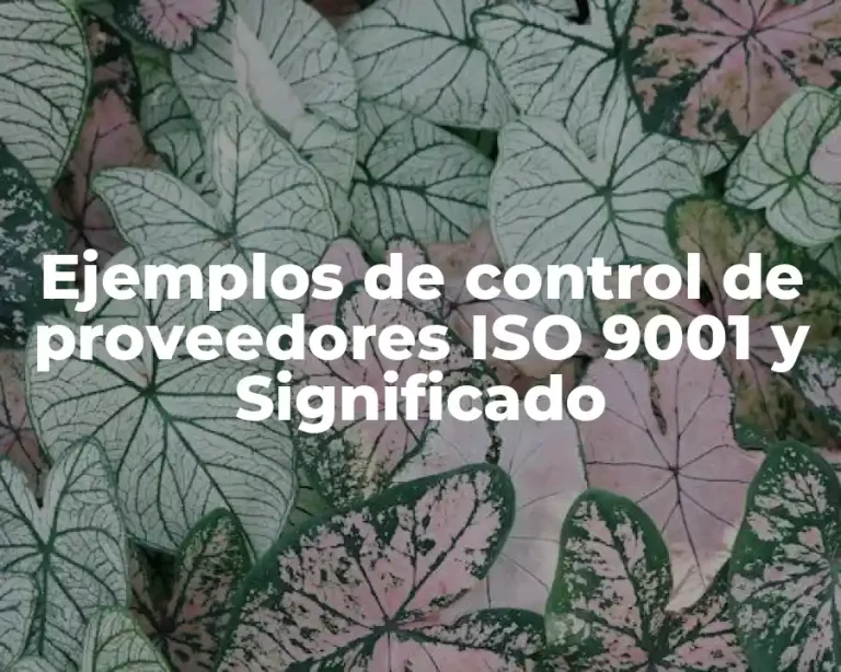 Ejemplos de control de proveedores ISO 9001 y Significado