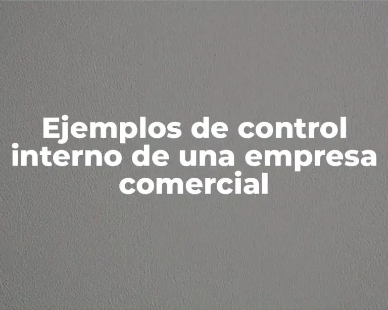 Ejemplos de control interno de una empresa comercial