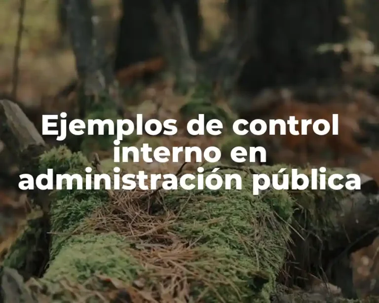Ejemplos de control interno en administración pública