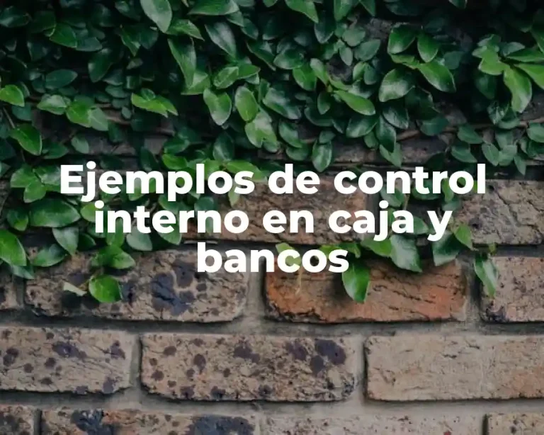 Ejemplos de control interno en caja y bancos