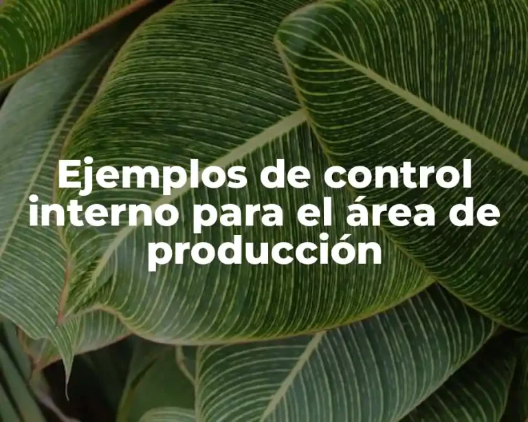 Ejemplos de control interno para el área de producción