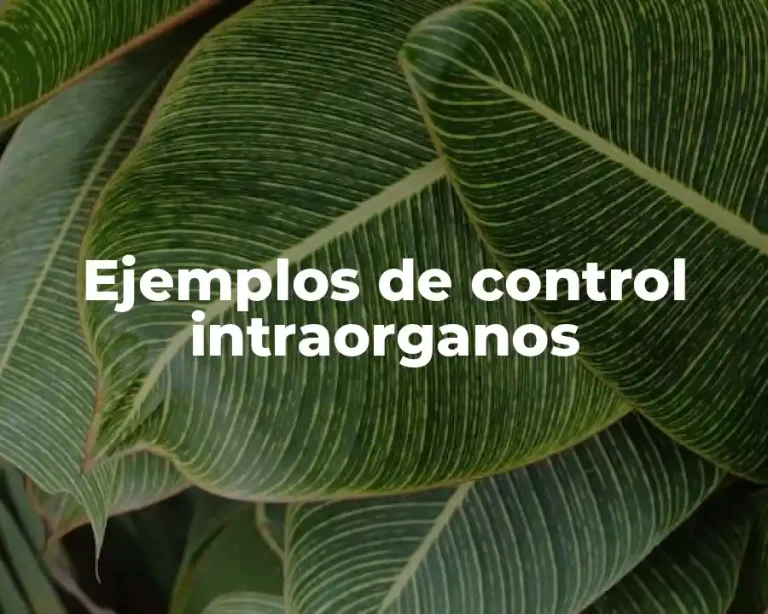 Ejemplos de control intraorganos