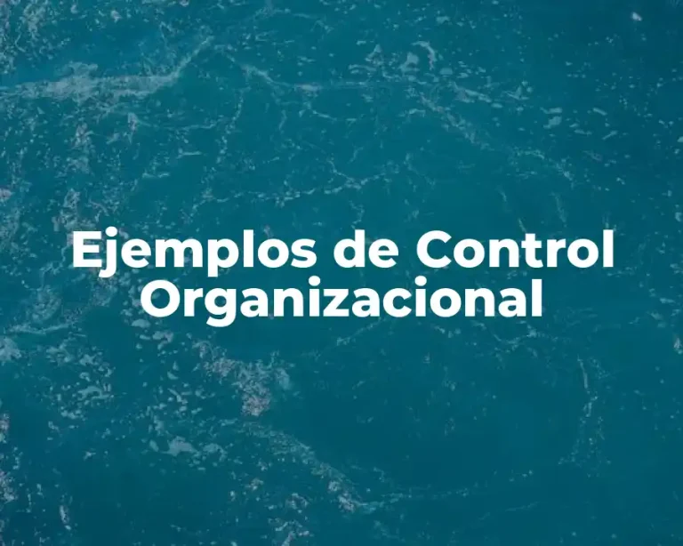Ejemplos de Control Organizacional