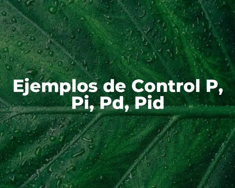 Ejemplos de Control P, Pi, Pd, Pid