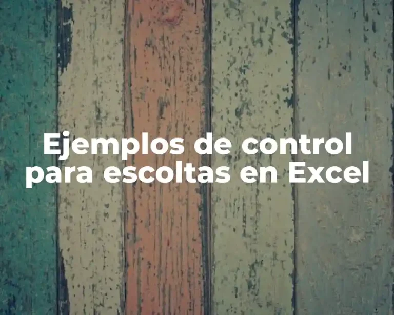 Ejemplos de control para escoltas en Excel