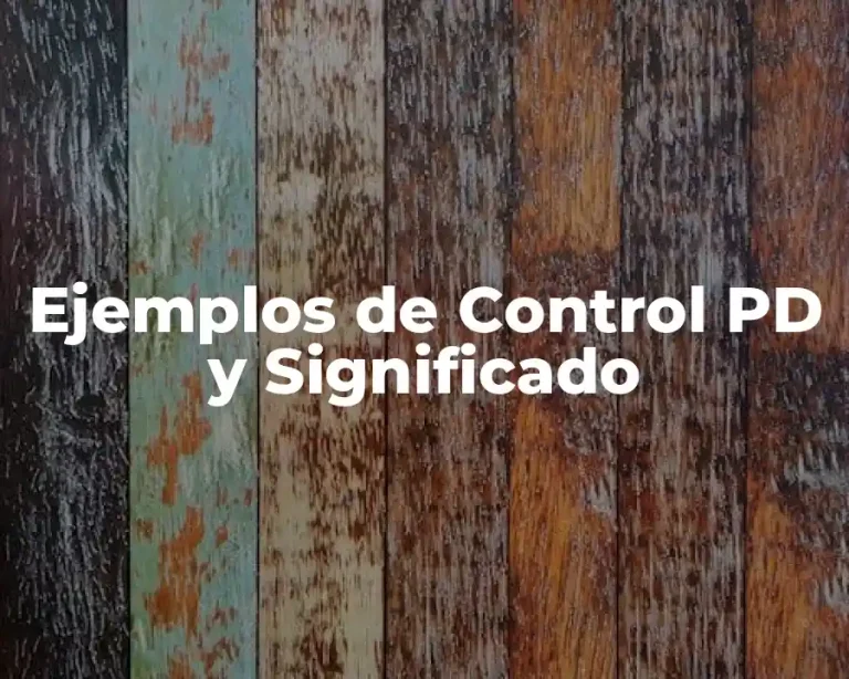 Ejemplos de Control PD y Significado