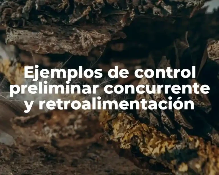 Ejemplos de control preliminar concurrente y retroalimentación