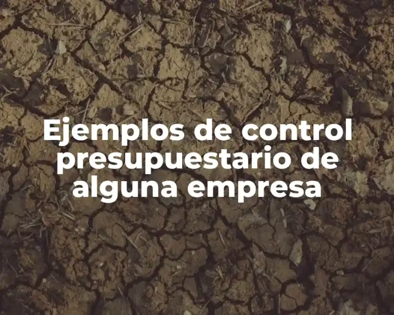Ejemplos de control presupuestario de alguna empresa