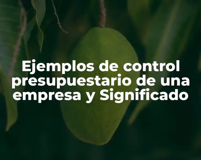 Ejemplos de control presupuestario de una empresa y Significado