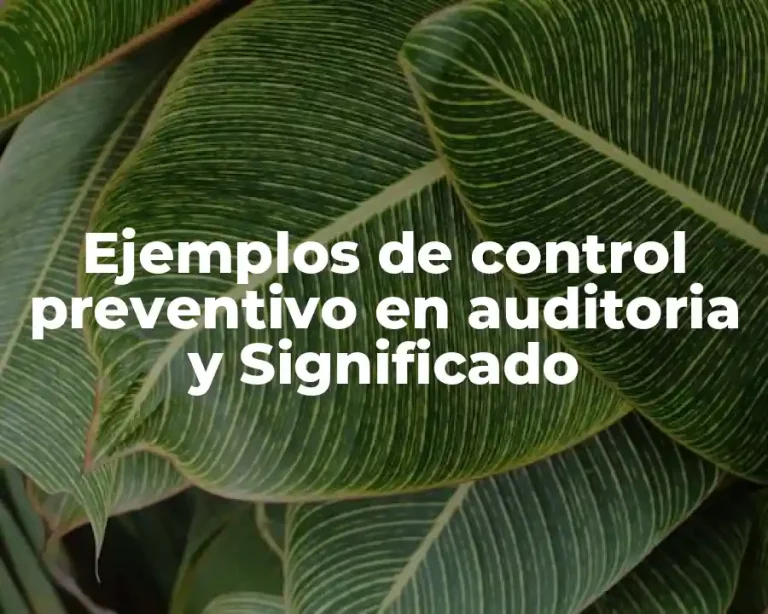 Ejemplos de control preventivo en auditoria y Significado