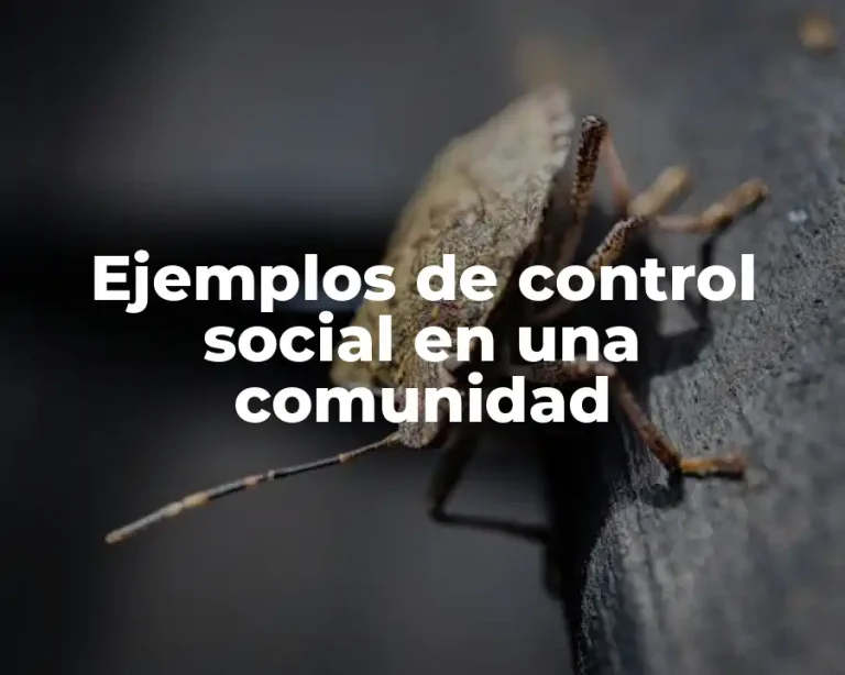 Ejemplos de control social en una comunidad