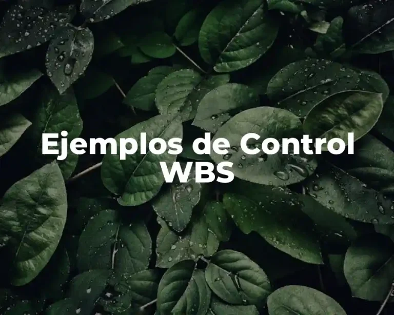 Ejemplos de Control WBS