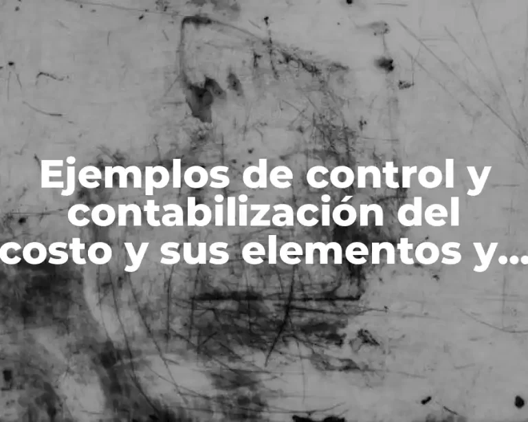 Ejemplos de control y contabilización del costo y sus elementos y Significado