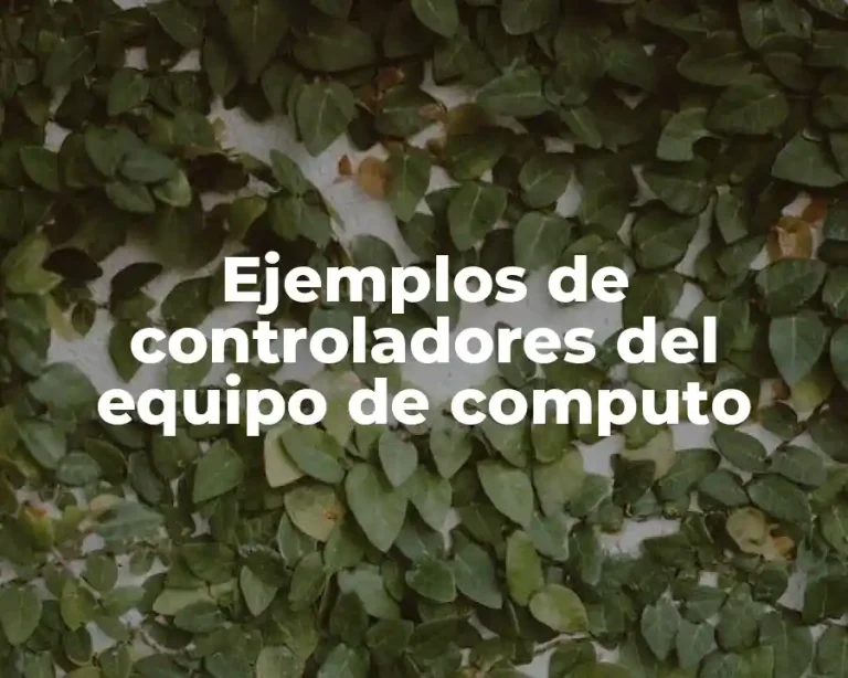 Ejemplos de controladores del equipo de computo