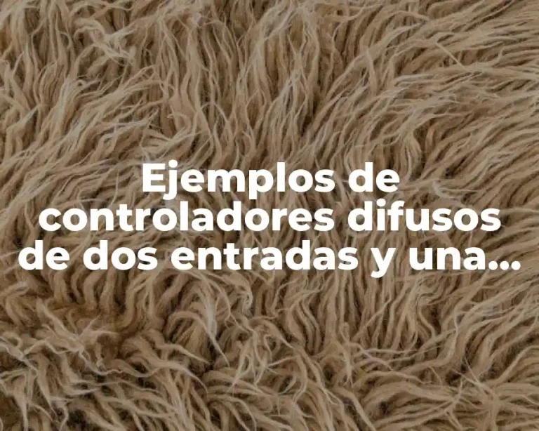 Ejemplos de controladores difusos de dos entradas y una salida