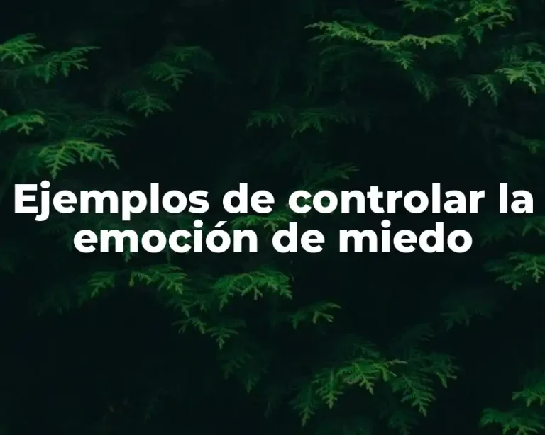 Ejemplos de controlar la emoción de miedo