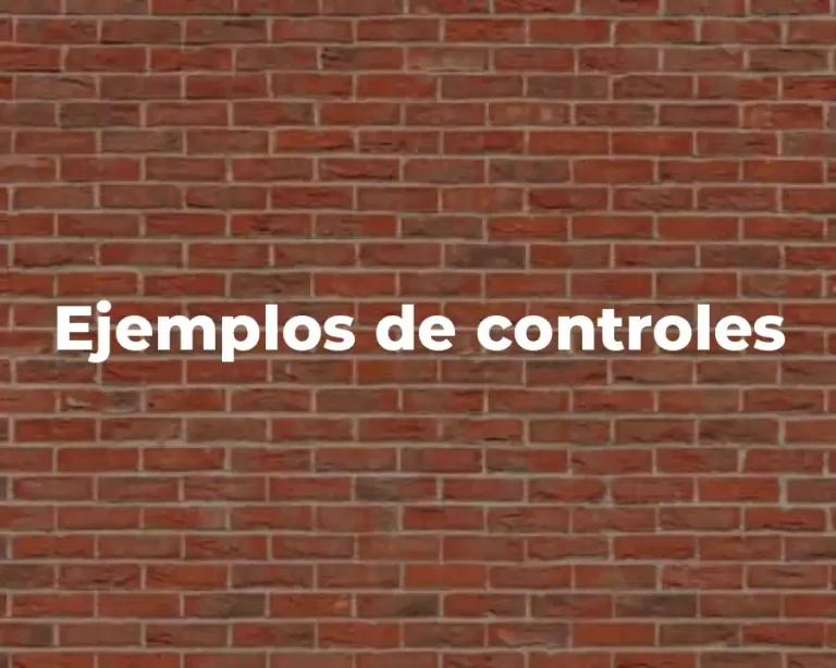 Ejemplos de controles