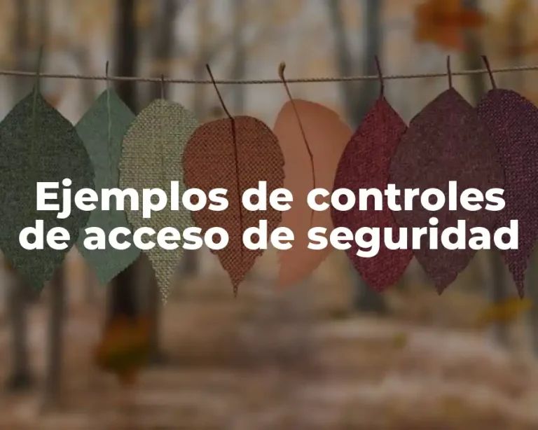 Ejemplos de controles de acceso de seguridad