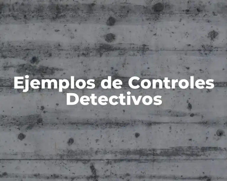 Ejemplos de Controles Detectivos