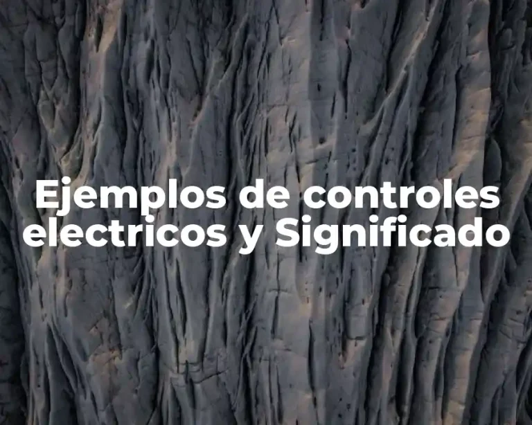 Ejemplos de controles electricos y Significado