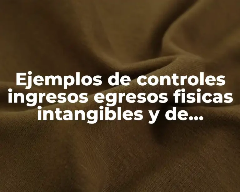 Ejemplos de controles ingresos egresos fisicas intangibles y de programa
