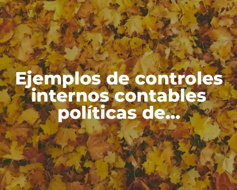 Ejemplos de controles internos contables políticas de contabilidad