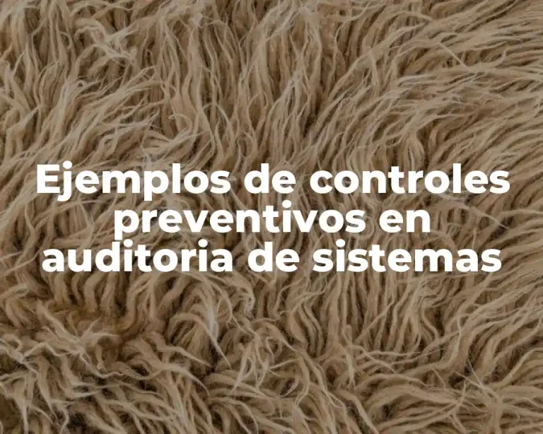 Ejemplos de controles preventivos en auditoria de sistemas