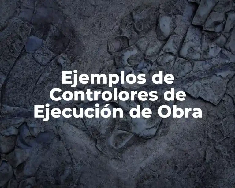 Ejemplos de Controlores de Ejecución de Obra