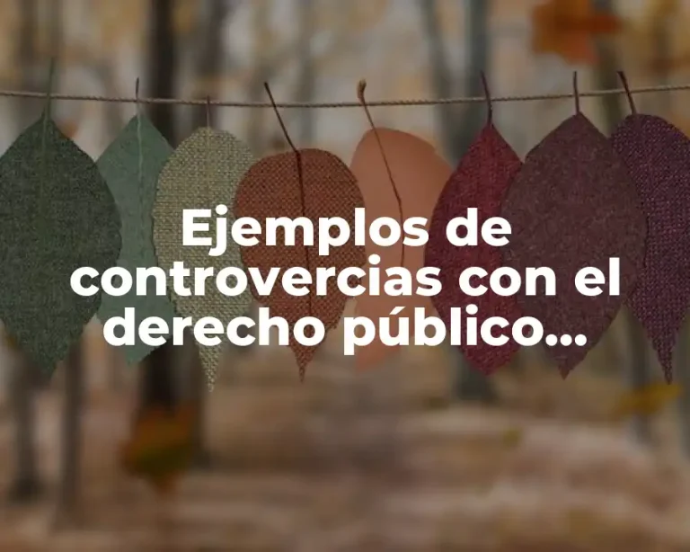 Ejemplos de controvercias con el derecho público constitucional y Significado