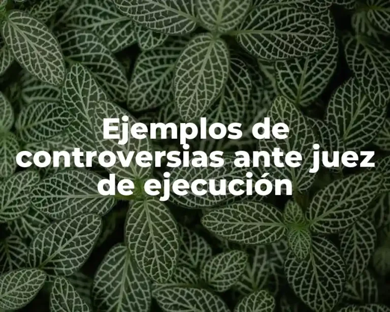 Ejemplos de controversias ante juez de ejecución