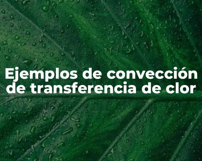 Ejemplos de convección de transferencia de clor
