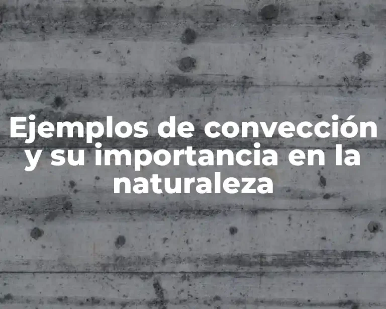 Ejemplos de convección y su importancia en la naturaleza