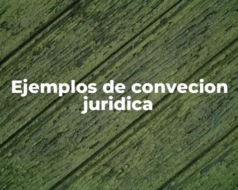 Ejemplos de convecion juridica