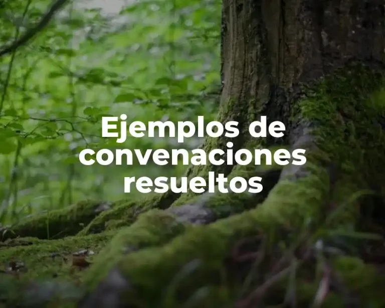 Ejemplos de convenaciones resueltos