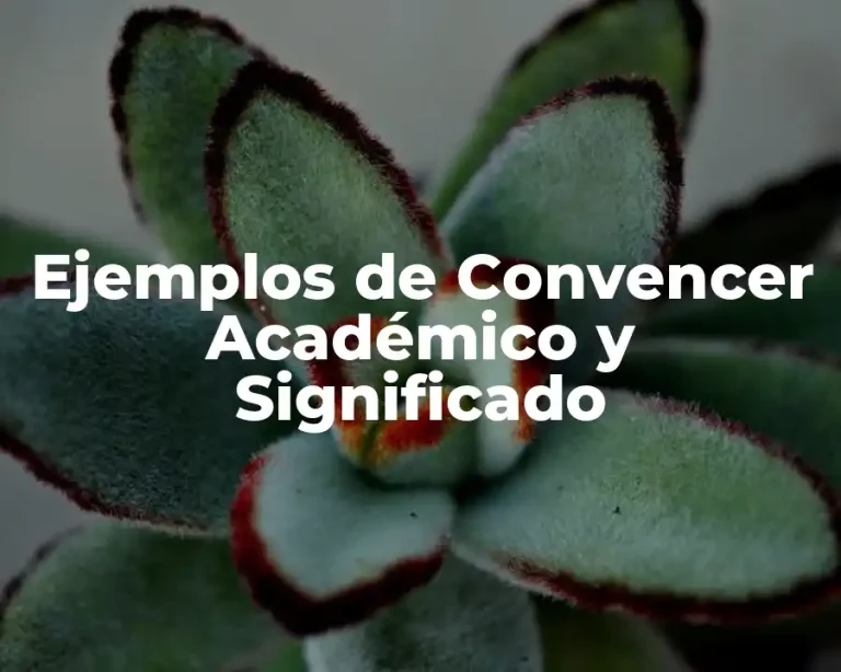 Ejemplos de Convencer Académico y Significado