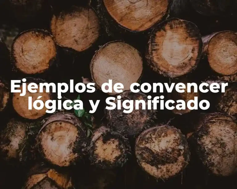 Ejemplos de convencer lógica y Significado