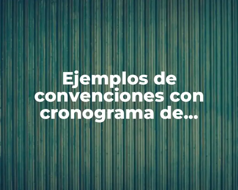 Ejemplos de convenciones con cronograma de actividades